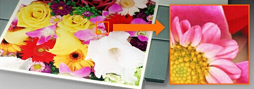 柯尼卡美能達(dá)C221原裝碳粉輸出效果 柯尼卡美能達(dá)C221原裝碳粉輸出效果