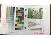 浙江寧波張先生的柯尼卡美能達復印機C210打印有紅色線維修記